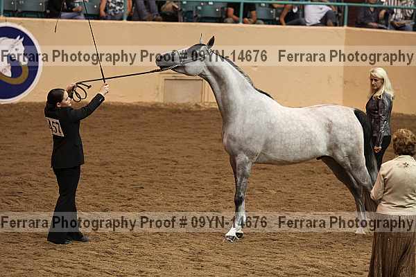 Proof 09yn-14676