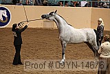 09yn-14676 proof