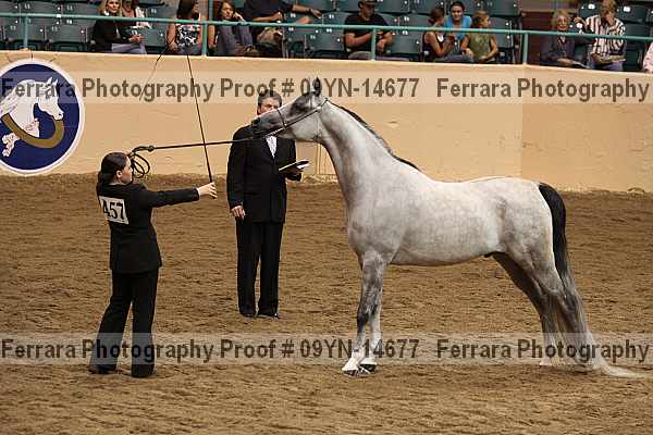 Proof 09yn-14677