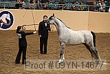 09yn-14677 proof