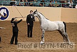 09yn-14678 proof