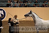 09yn-14680 proof