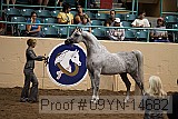 09yn-14682 proof