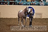 09yn-14683 proof