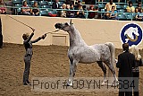 09yn-14684 proof