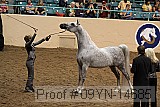 09yn-14685 proof