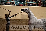 09yn-14686 proof