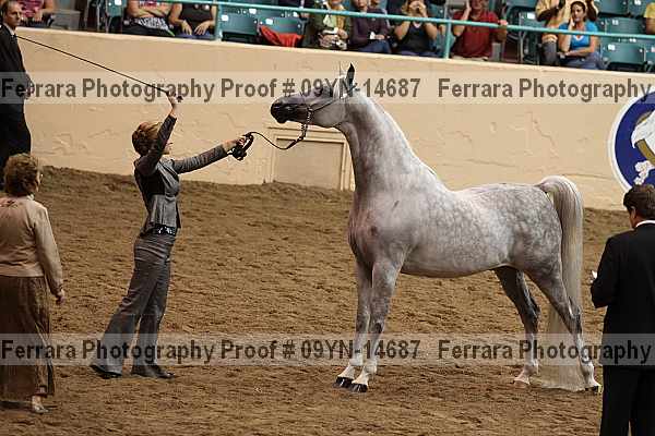 Proof 09yn-14687