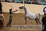 09yn-14687 proof