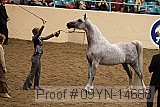 09yn-14688 proof