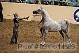 09yn-14689 proof