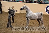 09yn-14690 proof