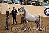 09yn-14691 proof