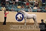 09yn-14692 proof