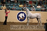 09yn-14693 proof