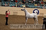 09yn-14694 proof