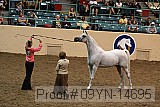 09yn-14695 proof
