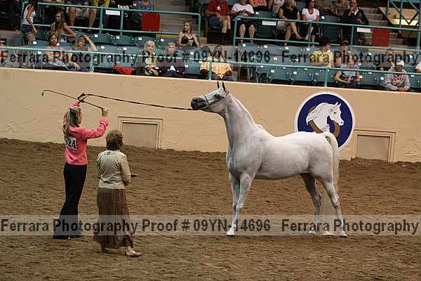 Proof 09yn-14696
