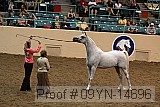 09yn-14696 proof