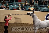 09yn-14697 proof