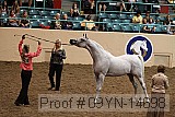09yn-14698 proof