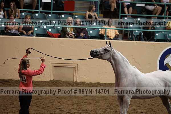 Proof 09yn-14701