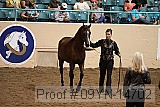 09yn-14702 proof