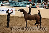 09yn-14708 proof