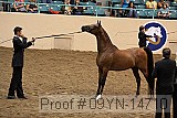 09yn-14710 proof