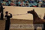 09yn-14711 proof