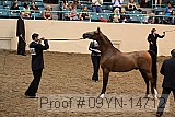 09yn-14712 proof