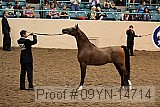 09yn-14714 proof