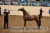 09yn-14715 proof
