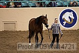 09yn-14721 proof