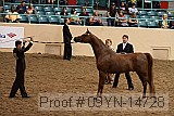 09yn-14728 proof