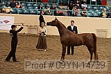 09yn-14729 proof