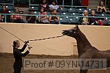 09yn-14731 proof