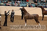09yn-14733 proof
