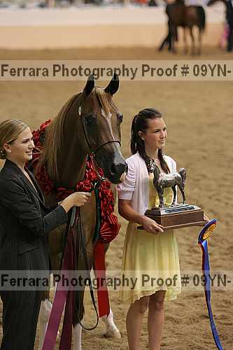 Proof 09yn-14773