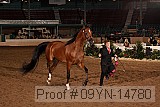 09yn-14780 proof