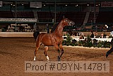 09yn-14781 proof