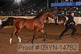 09yn-14782 proof