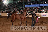 09yn-14783 proof