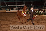09yn-14790 proof