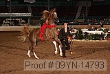 09yn-14793 proof