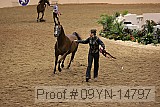 09yn-14797 proof