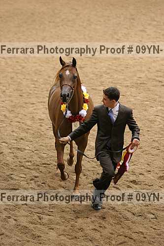 Proof 09yn-14805
