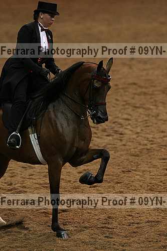 Proof 09yn-14798