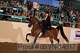 09yn-14817 proof