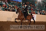 09yn-14830 proof